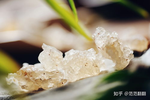雪燕購(gòu)買指南 品牌推薦與購(gòu)買途徑詳解
