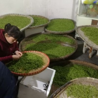 龍井茶 源自杭州富陽的初級(jí)農(nóng)產(chǎn)品