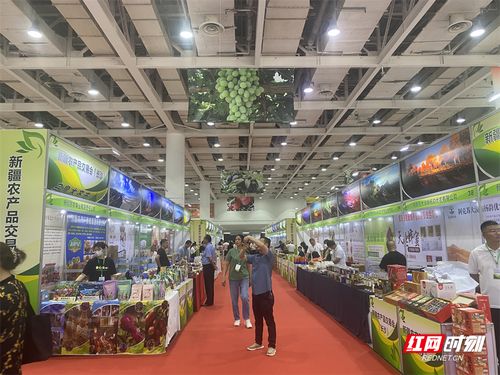 新疆農(nóng)產(chǎn)品長沙交易會盛大開幕，超300種初級產(chǎn)品等你來品鑒