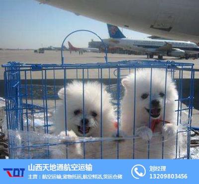 山西天地通航空運(yùn)輸代理有限公司成功申請(qǐng)航空運(yùn)輸代理資質(zhì)報(bào)告