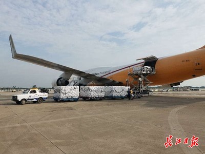 跨境生鮮提速 境外三文魚首次乘全貨機(jī)飛抵武漢，助力餐桌更鮮